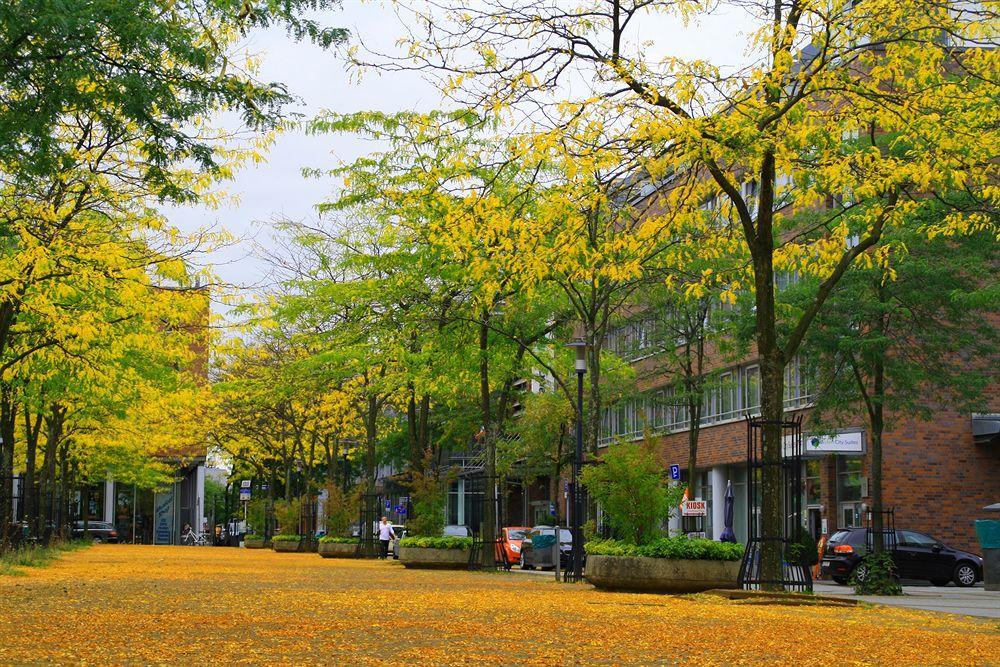 Essen City Suites Ngoại thất bức ảnh